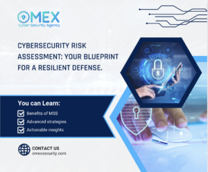 Cybersecurity Risk Assessment: